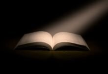 sector insight brief summary